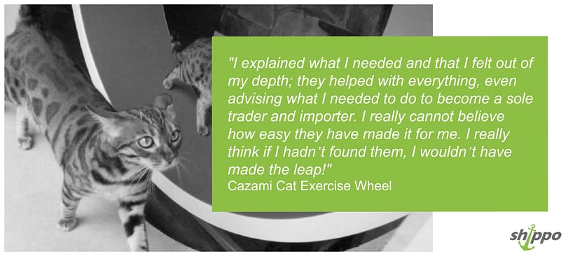 cazami cat wheel for sale