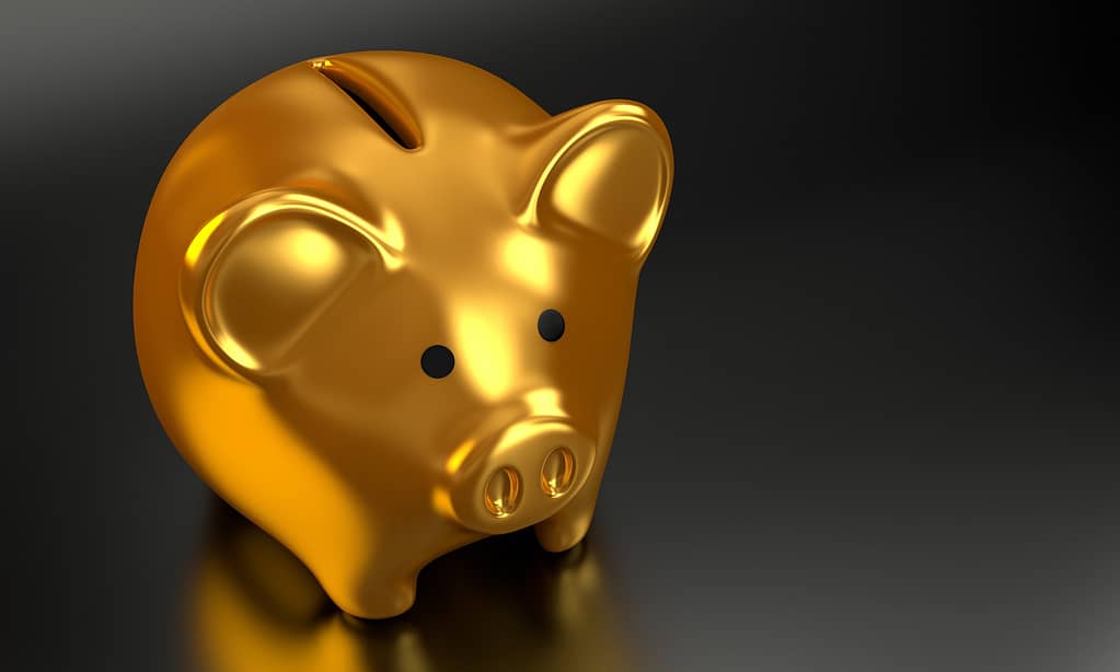 a picture of a gold piggy bank to represent the sea freight savings customers could make by being flexible with their shipping