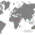 Showing alternative shipping route around Africa as opposed to through the Red Sea.