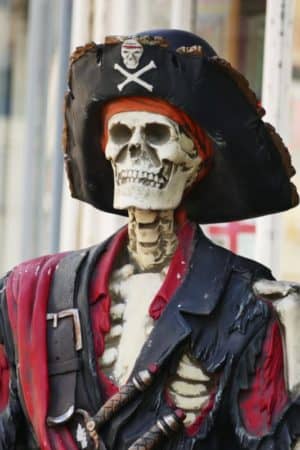 An image of a skeleton pirate