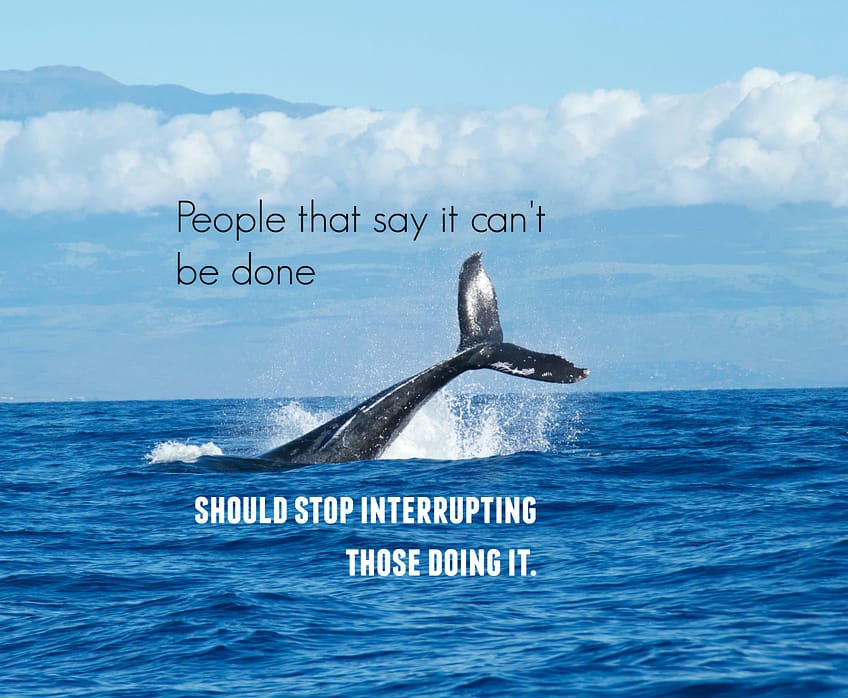 "People that say it can't be done should stop interrupting those doing it."