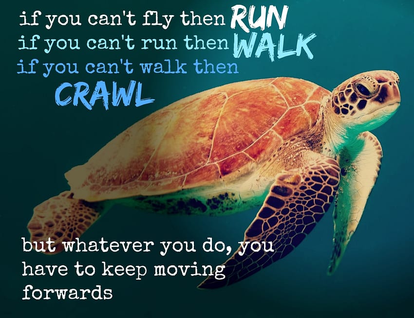 "If you can't fly then run! If you can't run then walk! If you can't walk then crawl! But whatever you do, you have to keep moving forward."